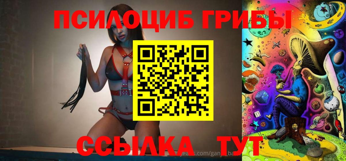 Псилоцибиновые грибы Cubensis  Вход с VPN  Псилоцибиновые грибы Magic Shrooms  Избербаш 